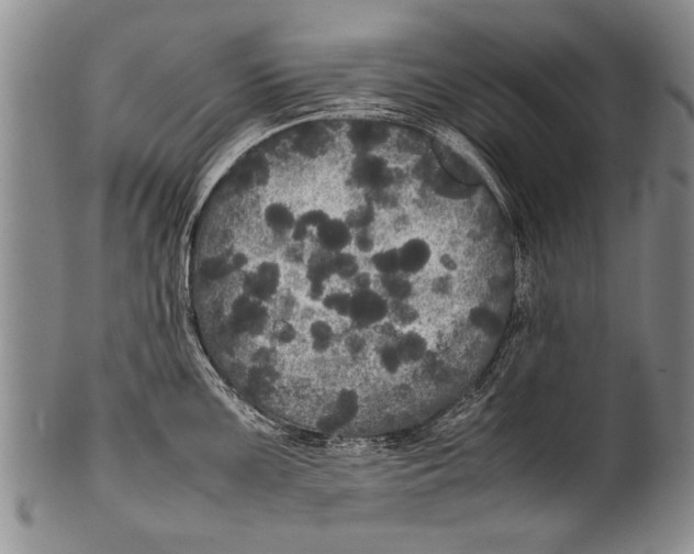 X0000100311099200806261156