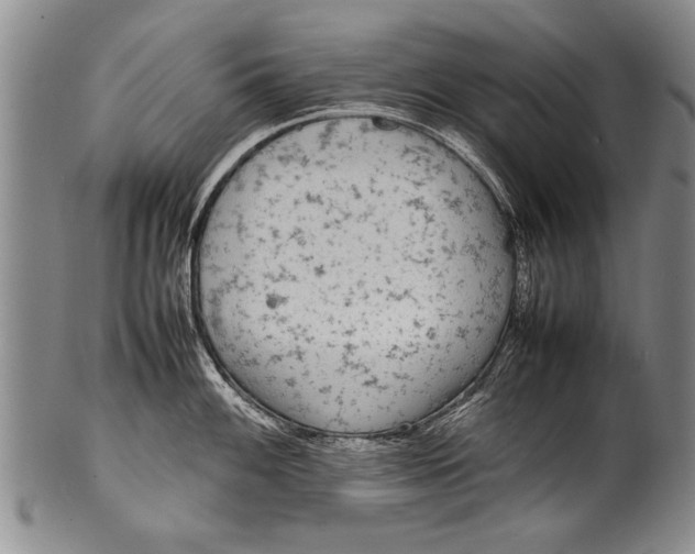 X0000100311100200806261156