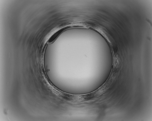 X0000100311101200806261156