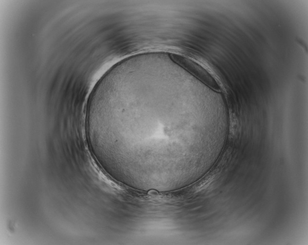 X0000100311102200806261156