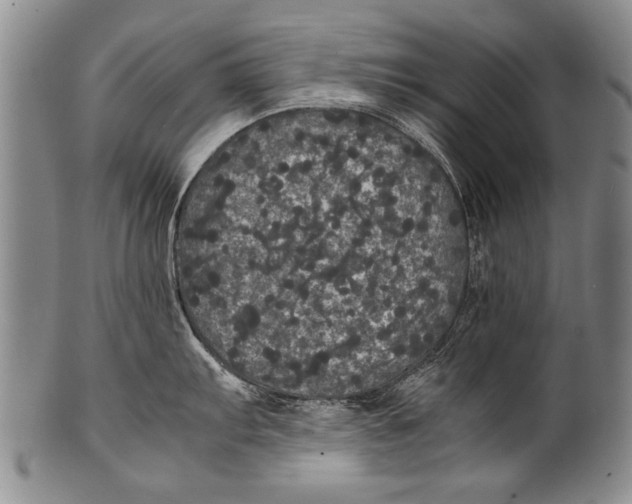 X0000100311103200806261156