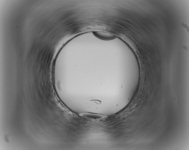 X0000100311104200806261156