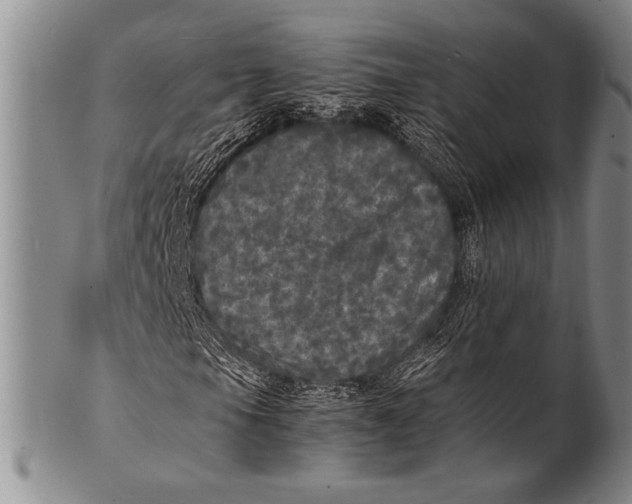 X0000100311105200806261156