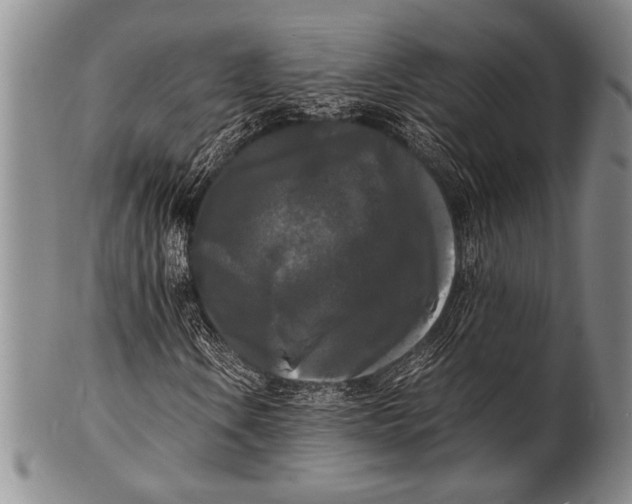 X0000100311106200806261156