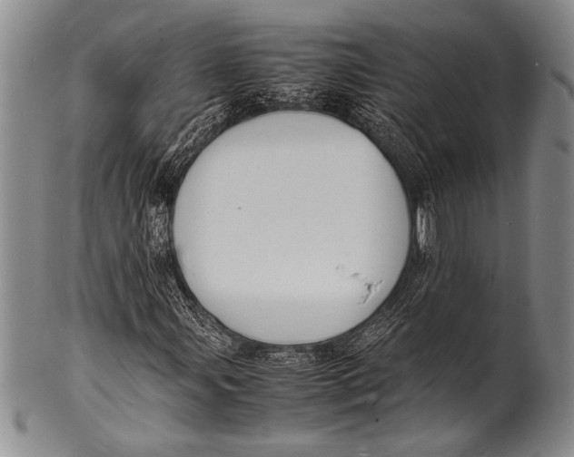 X0000100311107200806261156