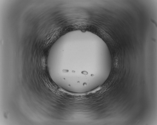 X0000100311108200806261156