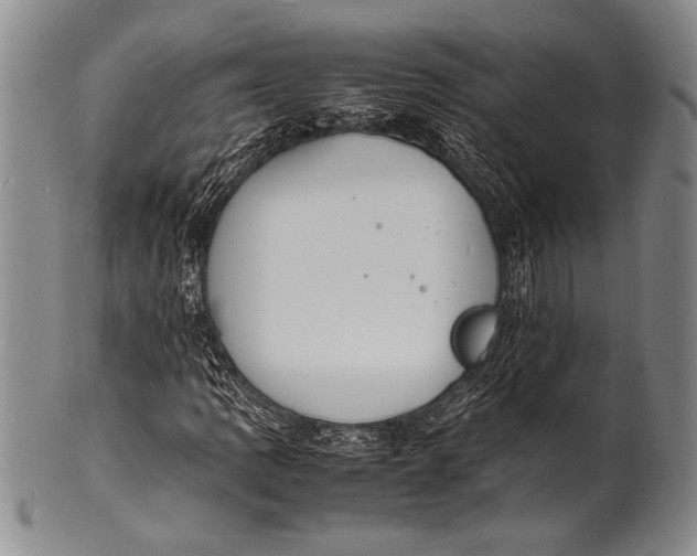 X0000100311109200806261156