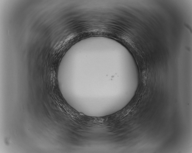 X0000100311111200806261156