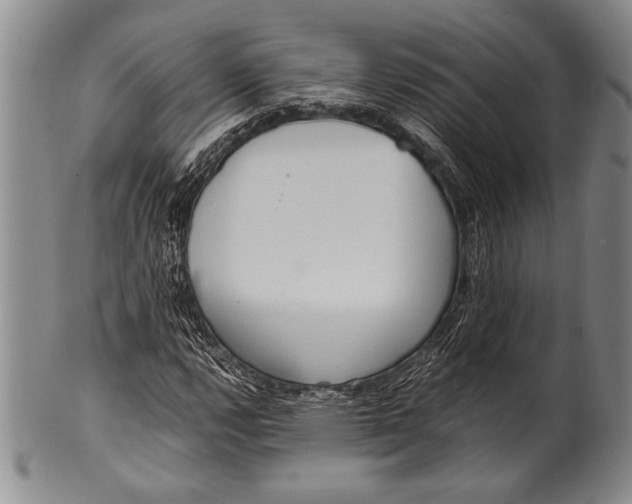 X0000100311112200806261156