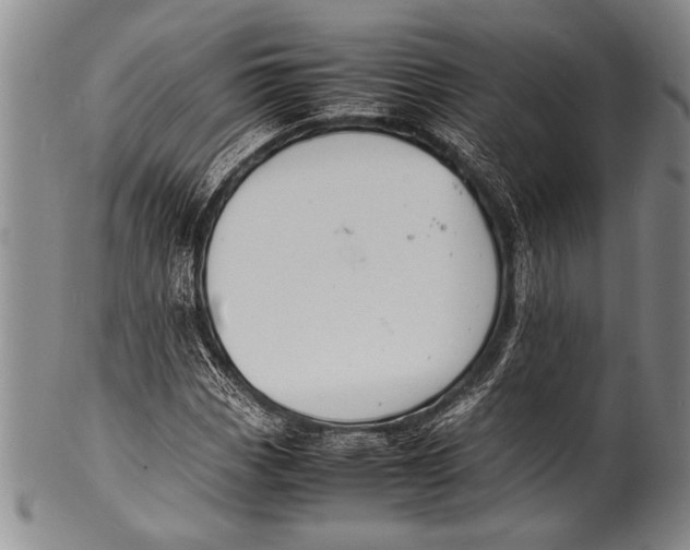 X0000100311113200806261156