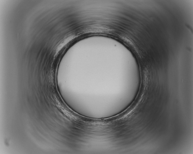 X0000100311114200806261156