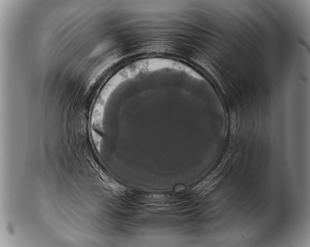 X0000100311115200806261156