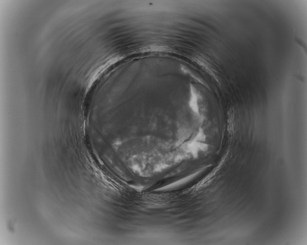 X0000100311117200806261156