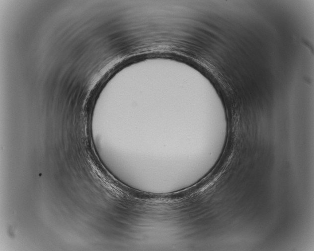 X0000100311118200806261156