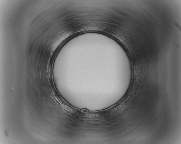 X0000100311119200806261156