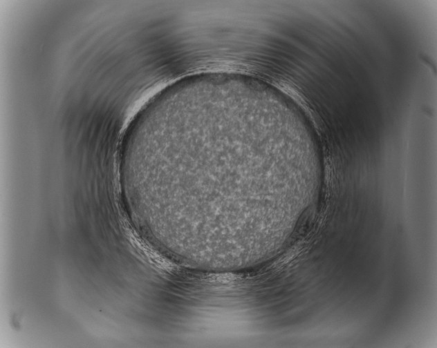 X0000100311120200806261156