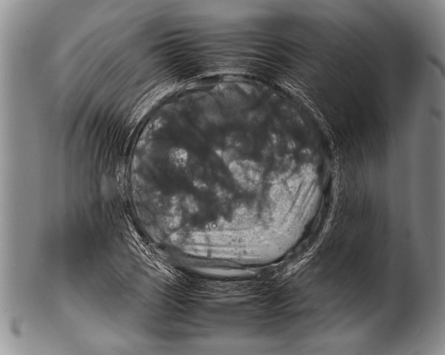 X0000100311121200806261156