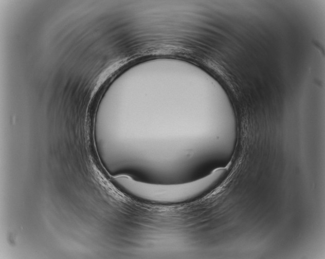 X0000100311122200806261156