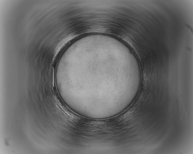 X0000100311123200806261156