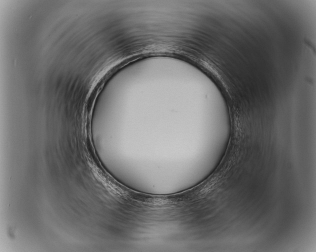 X0000100311124200806261156