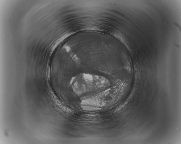 X0000100311125200806261156