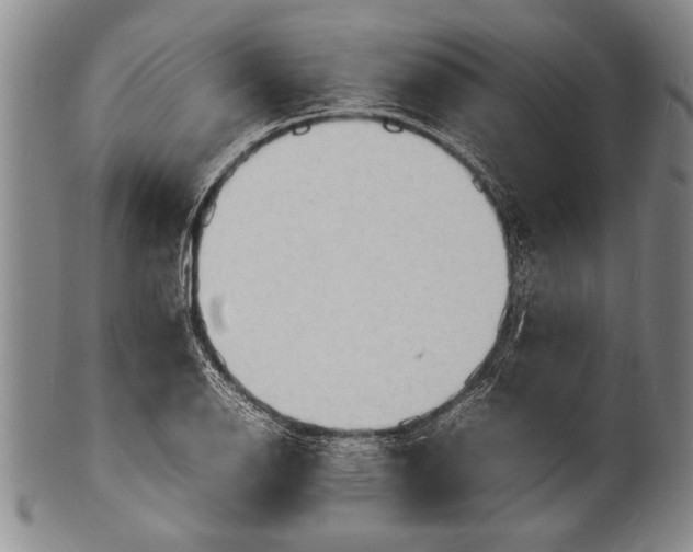 X0000100311126200806261156