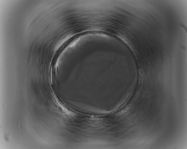 X0000100311127200806261156