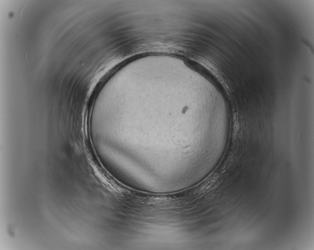 X0000100311128200806261156