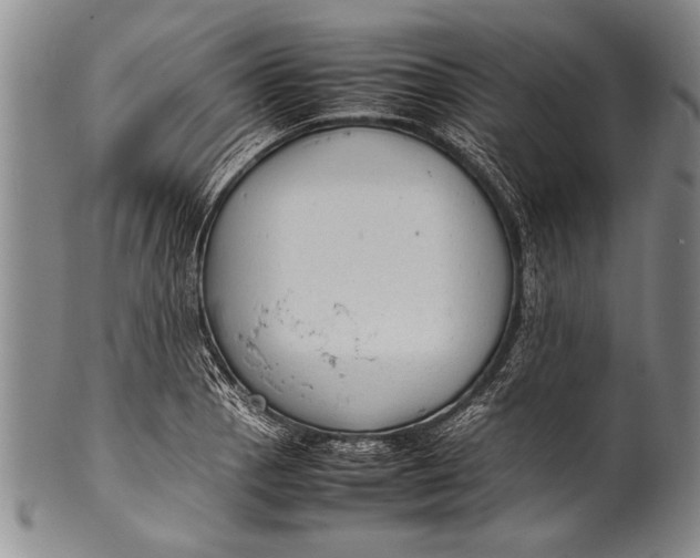 X0000100311129200806261156