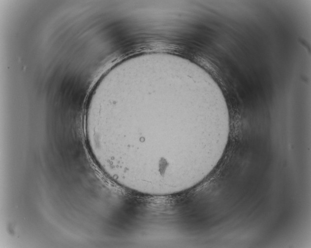 X0000100311130200806261156