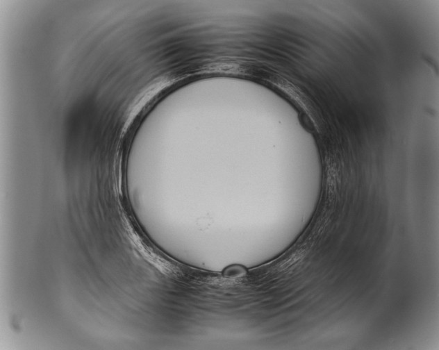 X0000100311131200806261156