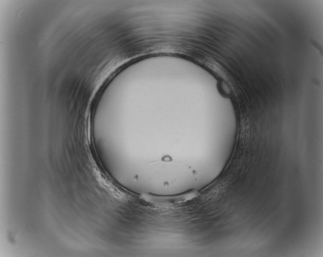 X0000100311132200806261156