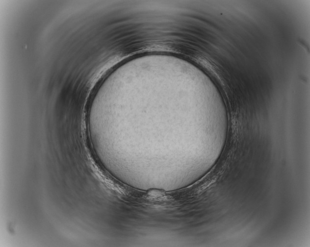 X0000100311133200806261156