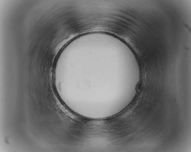 X0000100311134200806261156