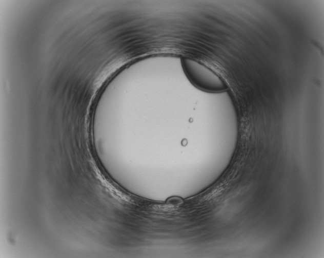 X0000100311135200806261156