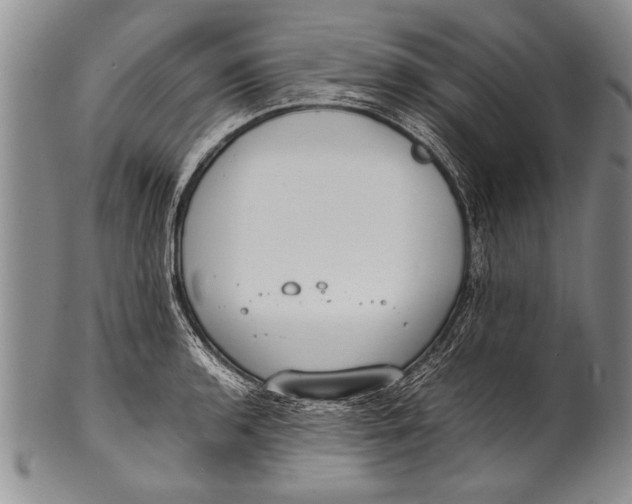 X0000100311136200806261156