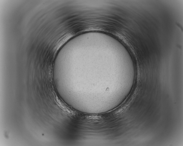 X0000100311137200806261156