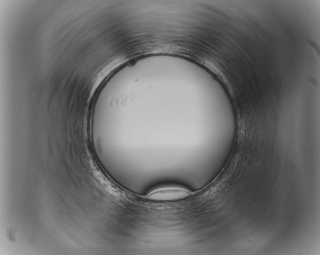 X0000100311138200806261156