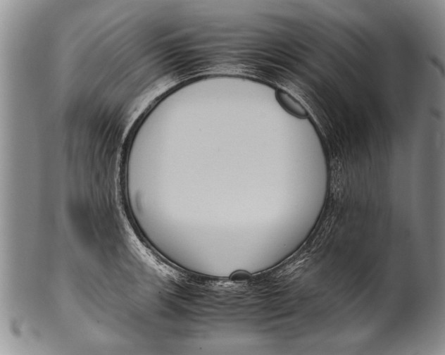 X0000100311139200806261156