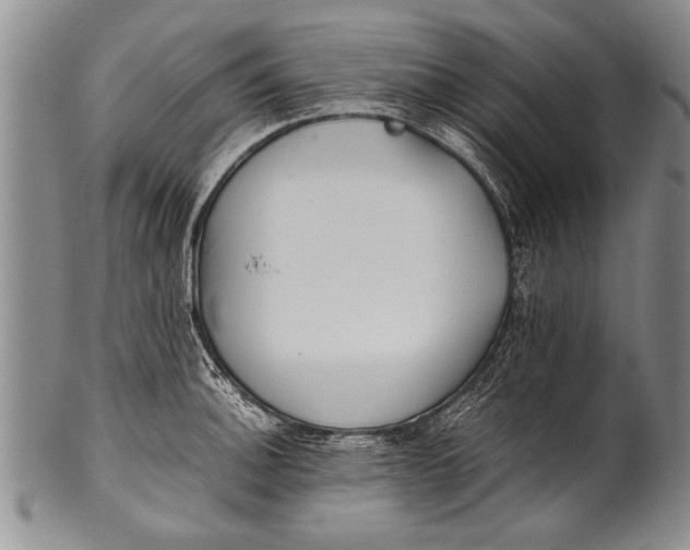 X0000100311140200806261156