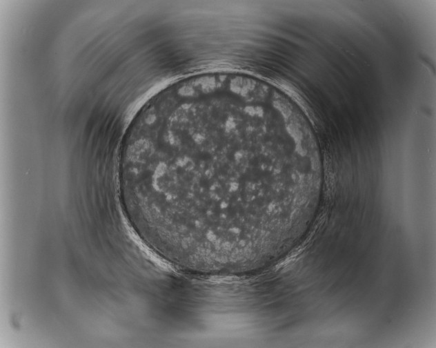 X0000100311142200806261156