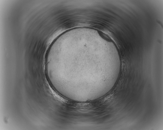 X0000100311143200806261156