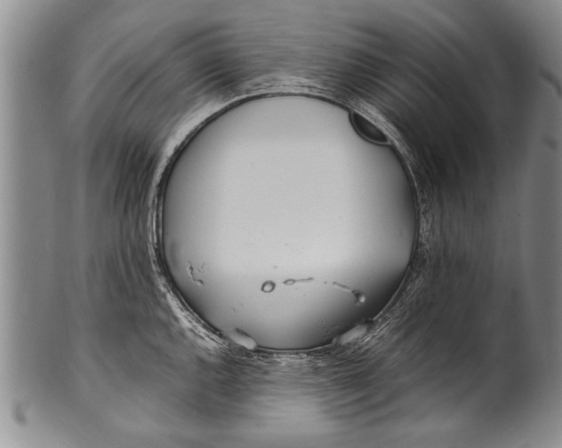 X0000100311144200806261156