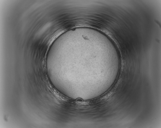 X0000100311145200806261156