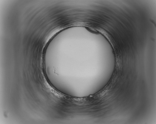 X0000100311147200806261156