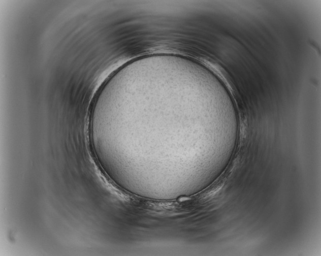 X0000100311149200806261156