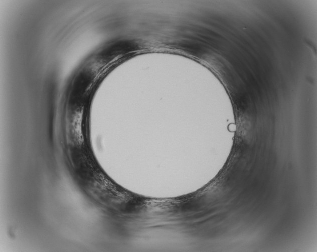 X0000100311150200806261156