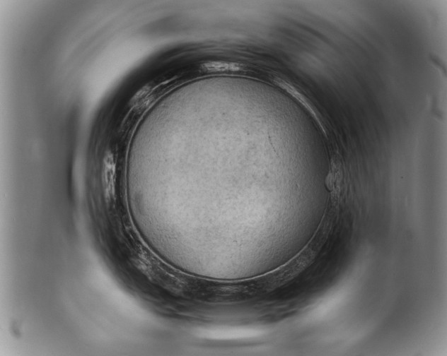 X0000100311151200806261156