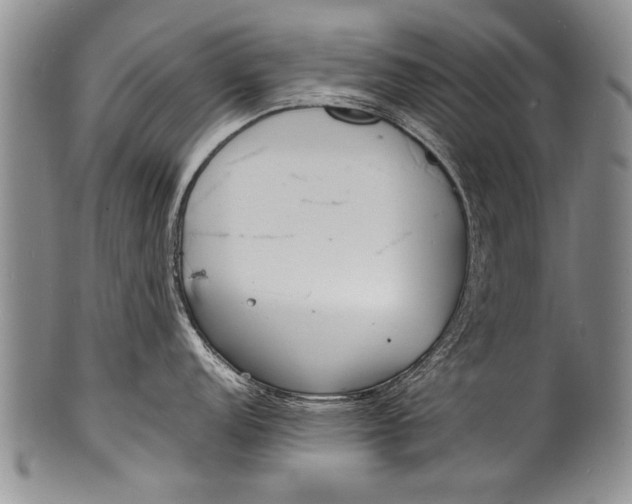 X0000100311152200806261156