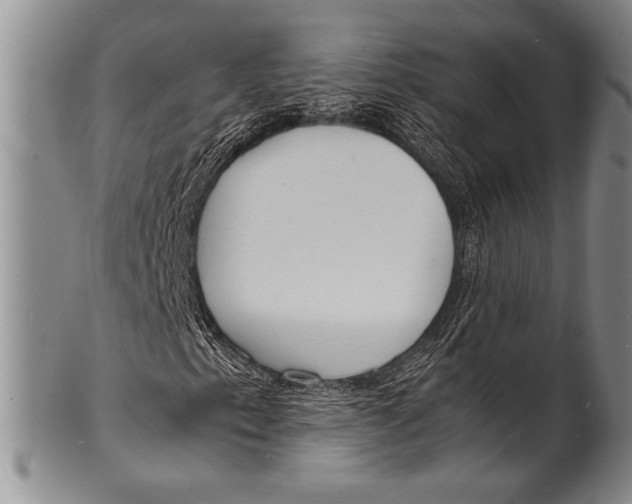 X0000100311153200806261156